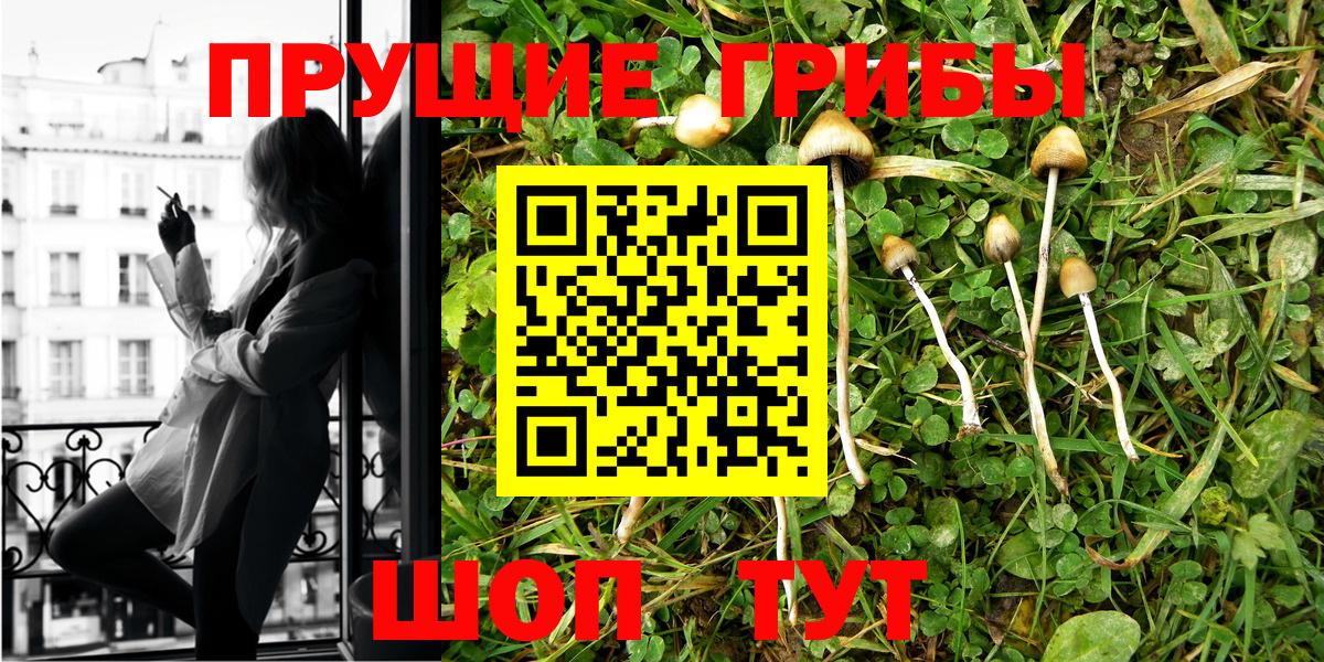 Можга  Галлюциногенные грибы MAGIC MUSHROOMS  Вход с VPN  Псилоцибиновые грибы ЛСД 
